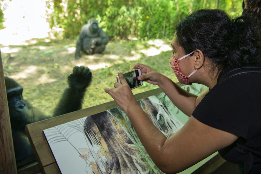 Bronx Zoo Ticket Price